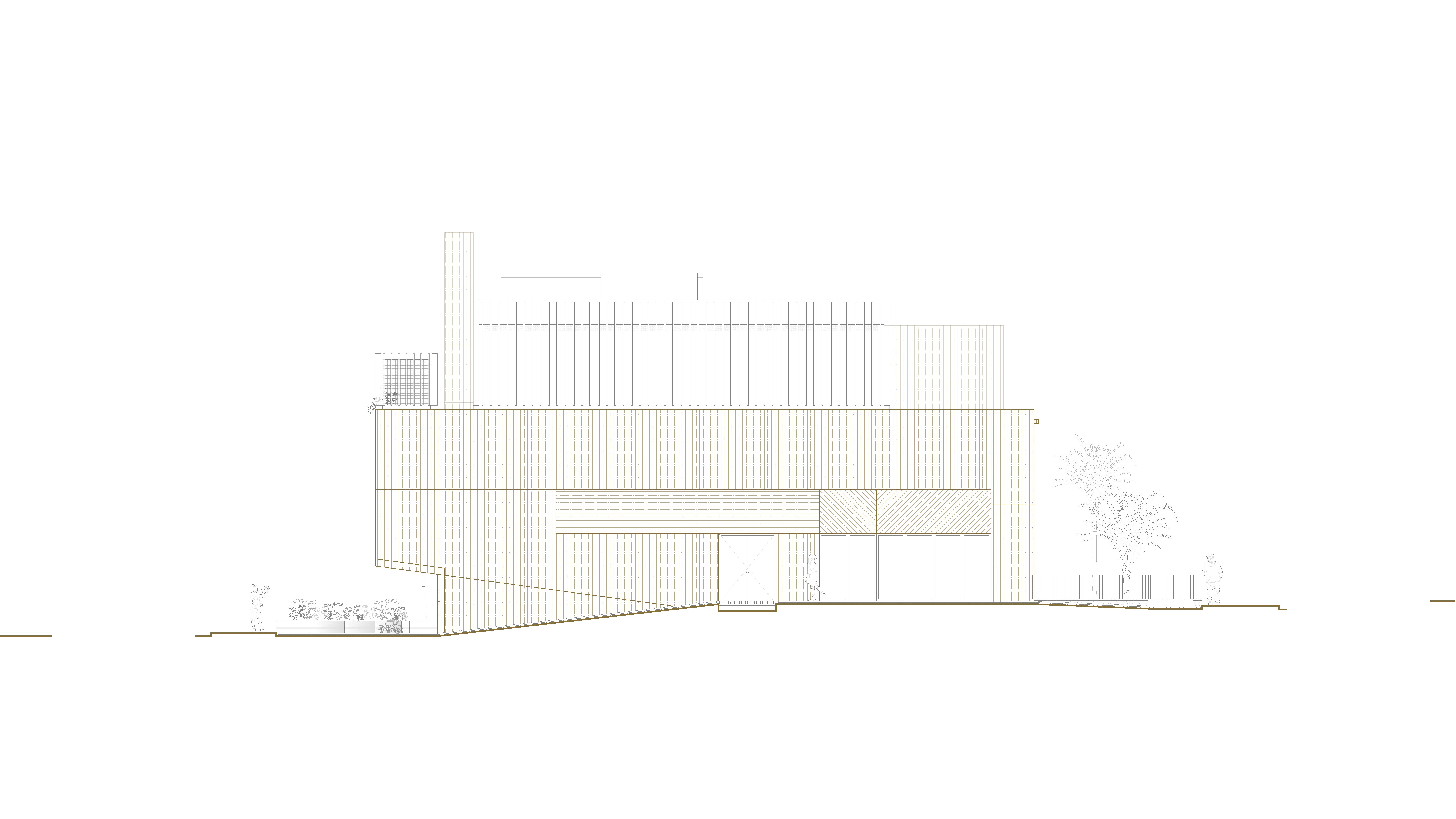 Reforma y ampliación COMZ