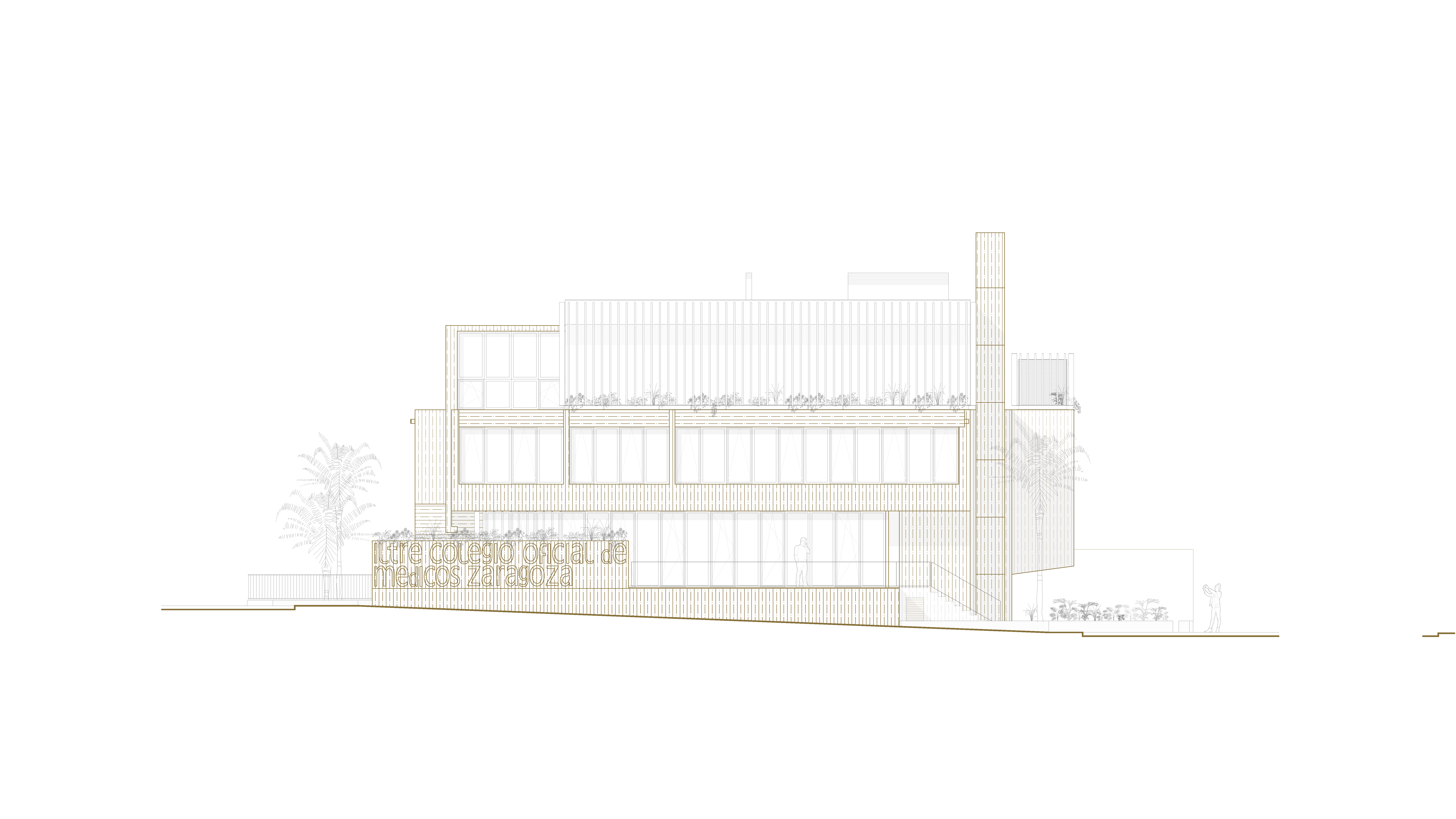 Reforma y ampliación COMZ