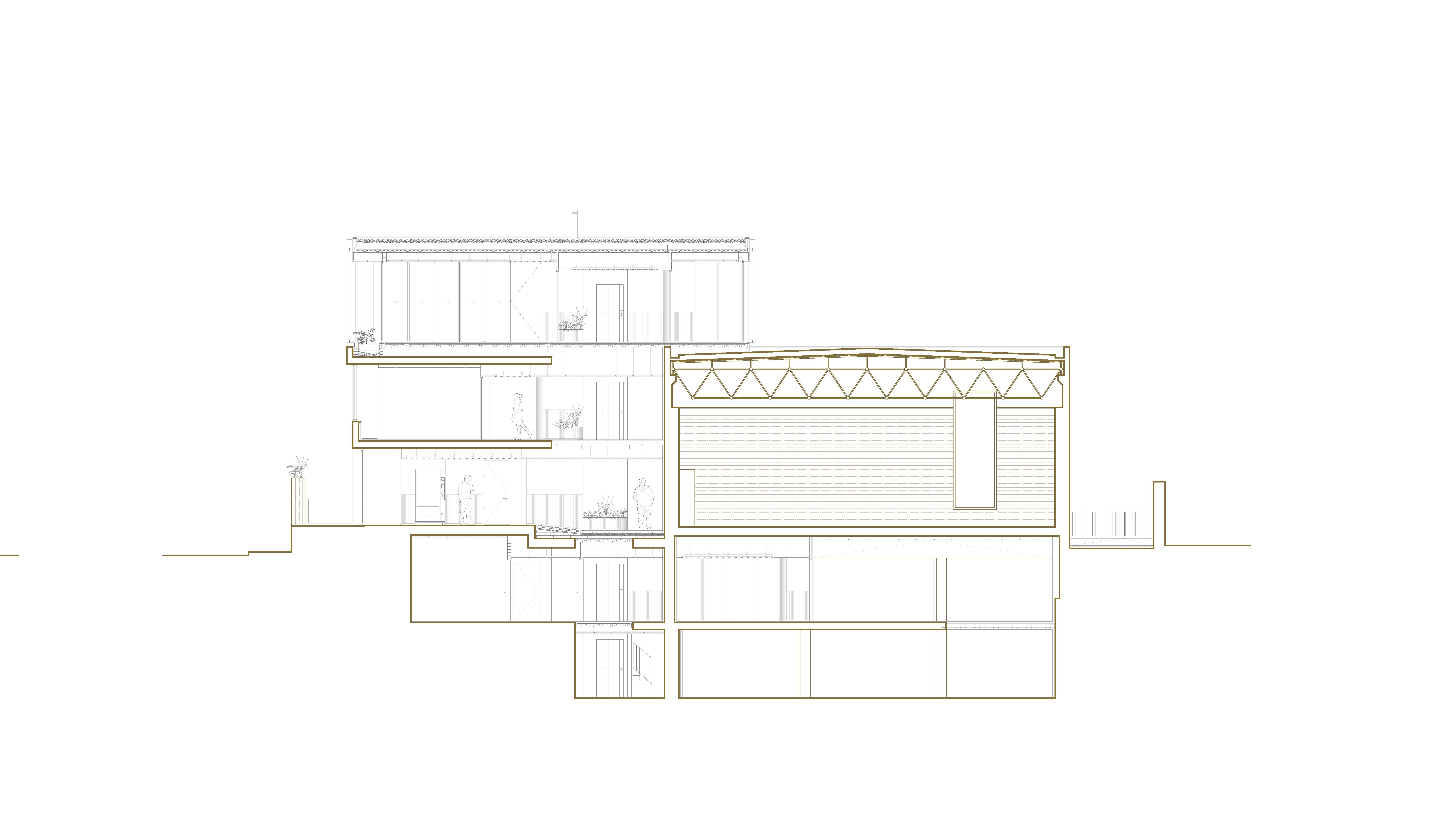 Reforma y ampliación COMZ