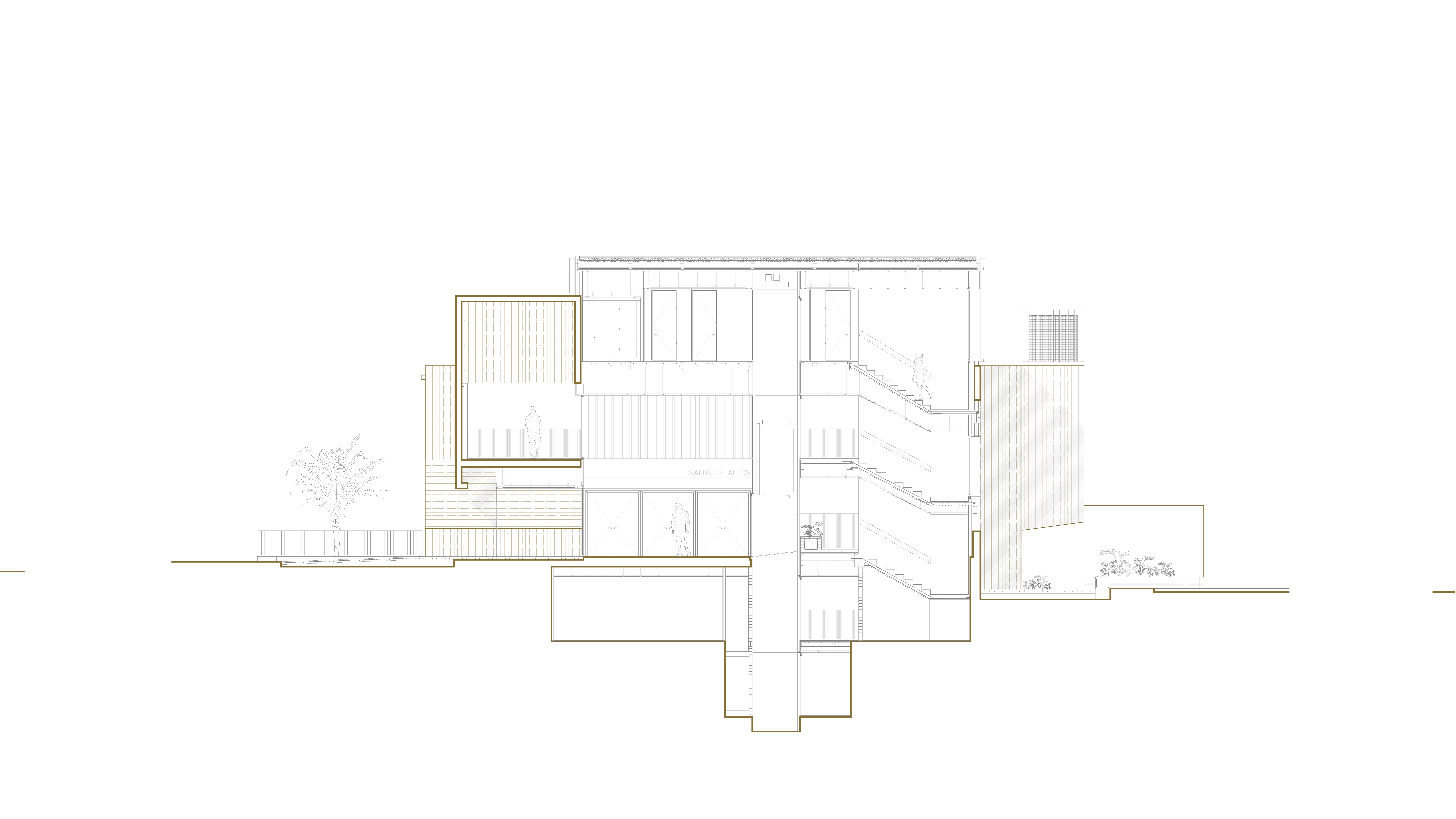 Reforma y ampliación COMZ